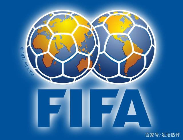 法国队伤病